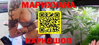 крисы Лесосибирск